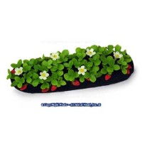 Dollhouse Strawberry Garden Bed