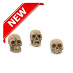 (*) 1 pc Assorted - Dollhouse Halloween Skull