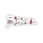 (* New Styles *) Butcher Signs - Posters