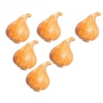 (*) Dollhouse 6 pc Brown Onions