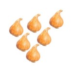 (*) Dollhouse 6 pc Brown Onions