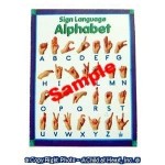 (*) Dollhouse School Classroom Charts