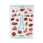 (* New Styles *) Butcher Signs - Posters