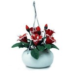 Dollhouse Hanging Red Day Lily