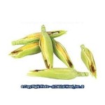 (*) Dollhouse  6 pc Ears of Corn