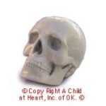 (?) Sale - Dollhouse Scary Skull