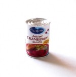 (&amp;sect;) Disc .60&amp;cent; Off - Dollhouse Cranberry Sauce Can
