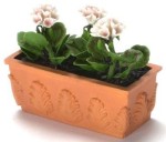 Filled Flower Box with Geraniums