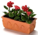 Filled Flower Box with Geraniums