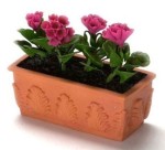 Filled Flower Box with Geraniums