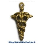 (*) Dollhouse Medical Caduceus