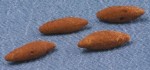 (*) 4 Dollhouse Sweet Potatoes