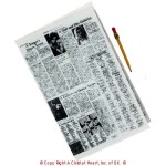 (*) Dollhouse Crossword Puzzle w/Pencil