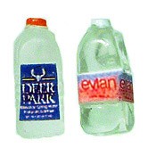 Disc. $1 Off - Dollhouse 1/2 Gallon Water Bottle- Choose of Style - - Product Image