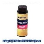 &amp;sect; Sale .50&amp;cent; Off - Dollhouse Spray Deodorant
