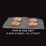 &amp;sect; Disc .60&amp;cent; Off - Buns on Wax Paper