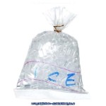 Dollhouse Bag of Ice