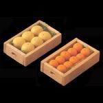 Dollhouse Crate of Citrus