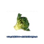 1 or 6 pc Dollhouse Garden Fresh Broccoli