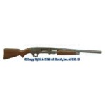 (*) Dollhouse Pump Shotgun