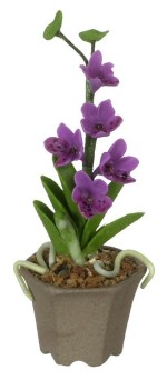 (&amp;sect;) Disc. $1 Off - Assorted Dollhouse Potted Orchids