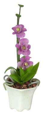(&amp;sect;) Disc. $1 Off - Assorted Dollhouse Potted Orchids