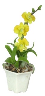(&amp;sect;) Disc. $1 Off - Assorted Dollhouse Potted Orchids