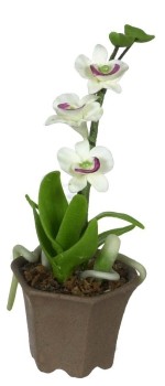 (&amp;sect;) Disc. $1 Off - Assorted Dollhouse Potted Orchids