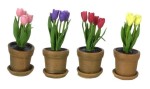 (&amp;sect;) Disc. $2 Off - Assorted Dollhouse Potted Tulips