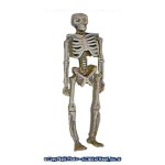 (*) Dollhouse Small Skeleton