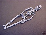 (*) Dollhouse Small Skeleton