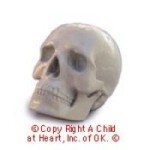 (&amp;sect;) Sale - Dollhouse Miniatures Skull