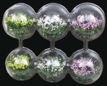 (&amp;sect;) Disc $6 Off - 6 Assorted Floral Clusters
