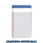 (*) Dollhouse Legal Pad