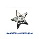 (*) Dollhouse Police or Sheriff's Badge
