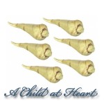 6 Dollhouse White Radishes