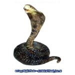 (**) Assorted Dollhouse Snakes
