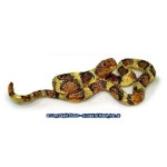(**) Assorted Dollhouse Snakes