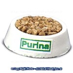(&amp;sect;) Sale .30&amp;cent; Off - Dollhouse Filled Pet Food Bowls