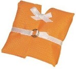 Dollhouse Life Vest