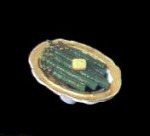 Dollhouse Bowl of Asparagus