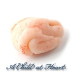 (*) Dollhouse Whole Fresh Poultry