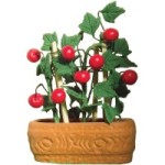 (*) Dollhouse Tomato Plant in Pot