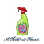 (*) Dollhouse Spray n wash