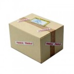 Dollhouse Shipping Parcel