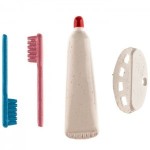 Dollhouse Toothbrushes, Holder &amp; Paste Set
