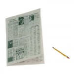 (*) Dollhouse Crossword Puzzle w/Pencil