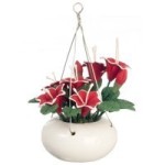 Dollhouse Hanging Red Day Lily
