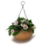 Dollhouse Hanging Pink Pansy