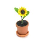 Dollhouse Sunflower In Pot